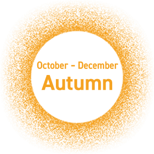 October – December Autumn