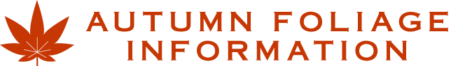 AUTUMN FOLIAGE Information