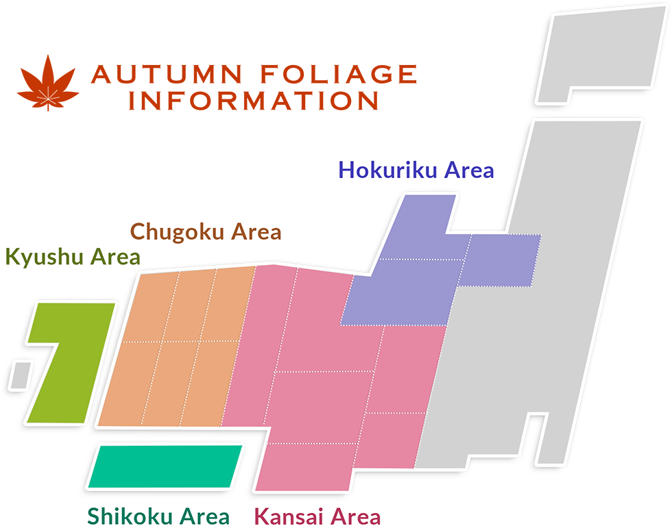AUTUMN FOLIAGE INFORMATION