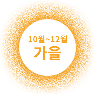 10월~12월 가을