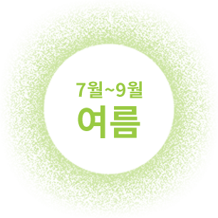 7월~9월 여름