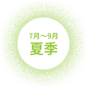7月~9月 夏季