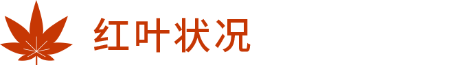 红叶状况