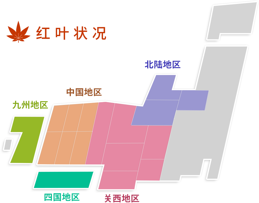 红叶状况