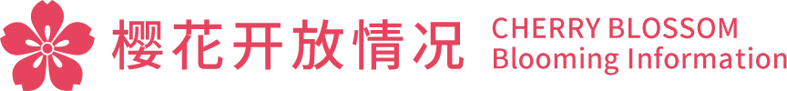 樱花开放情况