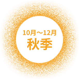 10月~12月 秋季
