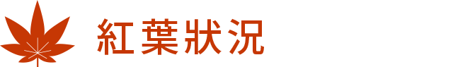 紅葉狀況