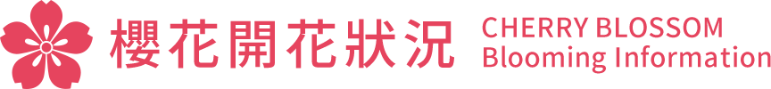 櫻花開花狀況