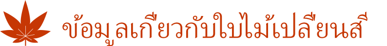ข้อมูลเกี่ยวกับใบไม้เปลี่ยนสี